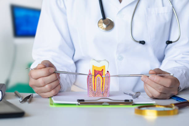 Best Chipped Tooth Repair Near Me  in Rosemont, PA
